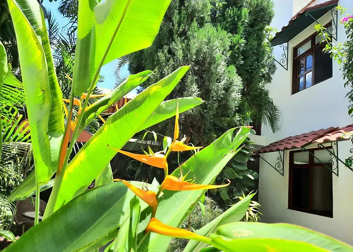 Casa los Cantaros Hotel Boutique Oaxaca